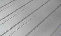 RAL 9006